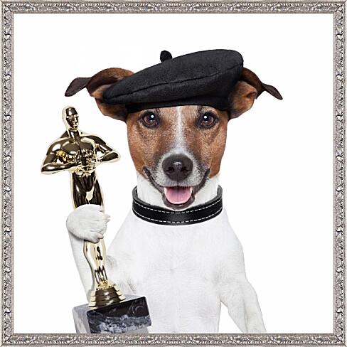 Картина - Собака получила премию  Оскар
