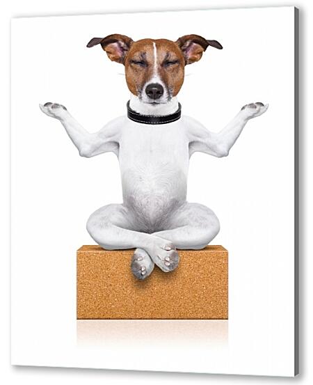 Постер (плакат) - Собака медитирует