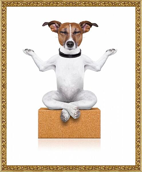 Картина - Собака медитирует