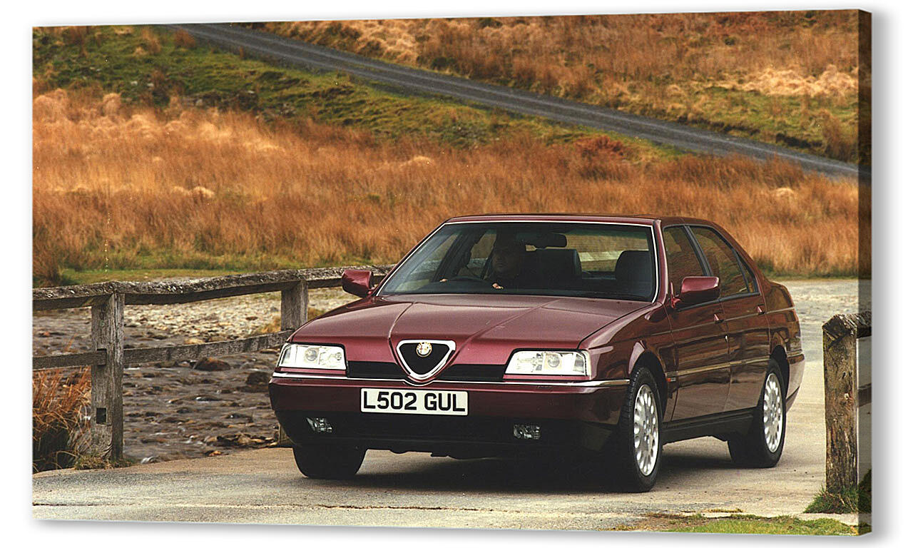 Картина маслом - Alfa Romeo-141