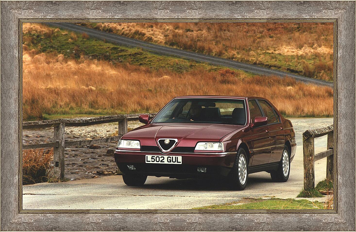 Картина - Alfa Romeo-141