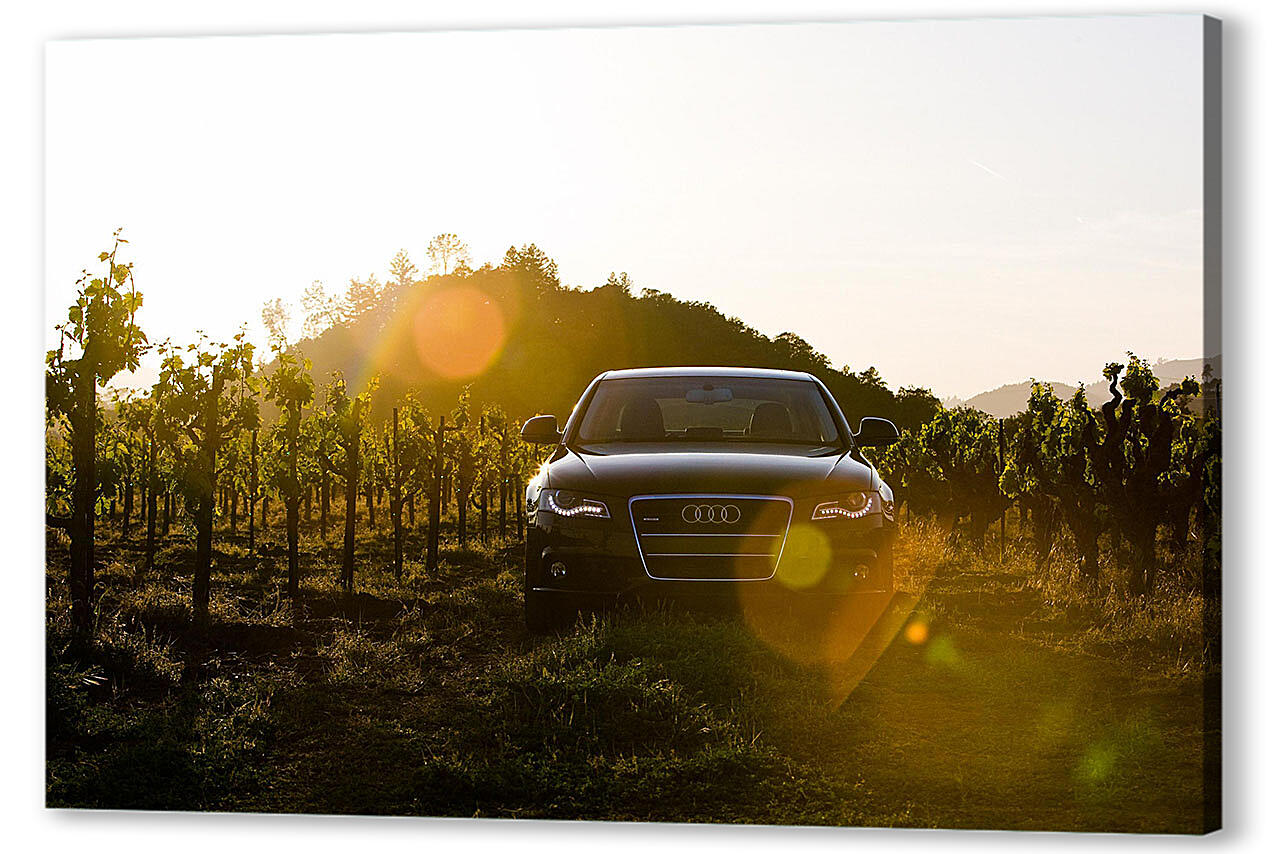 Audi-23