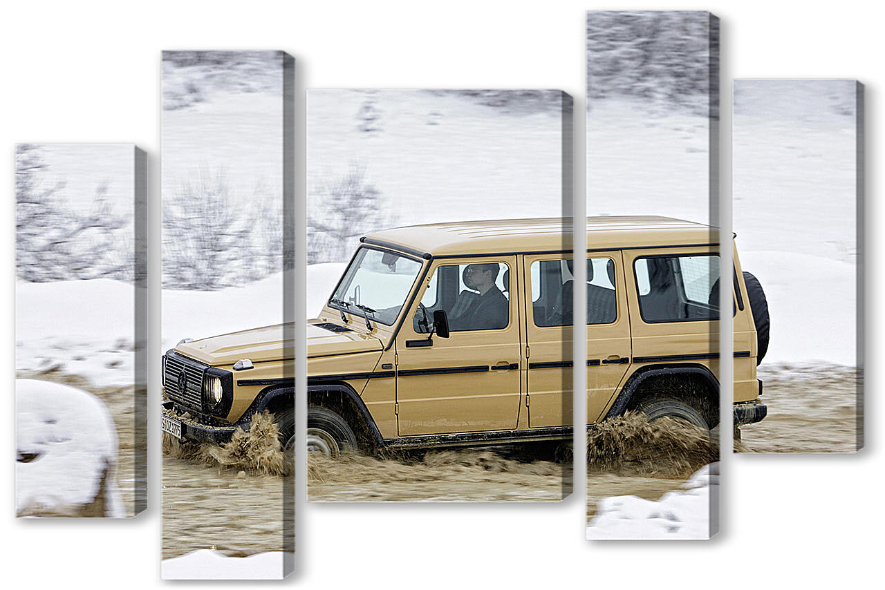 Модульная картина - Mercedes-309