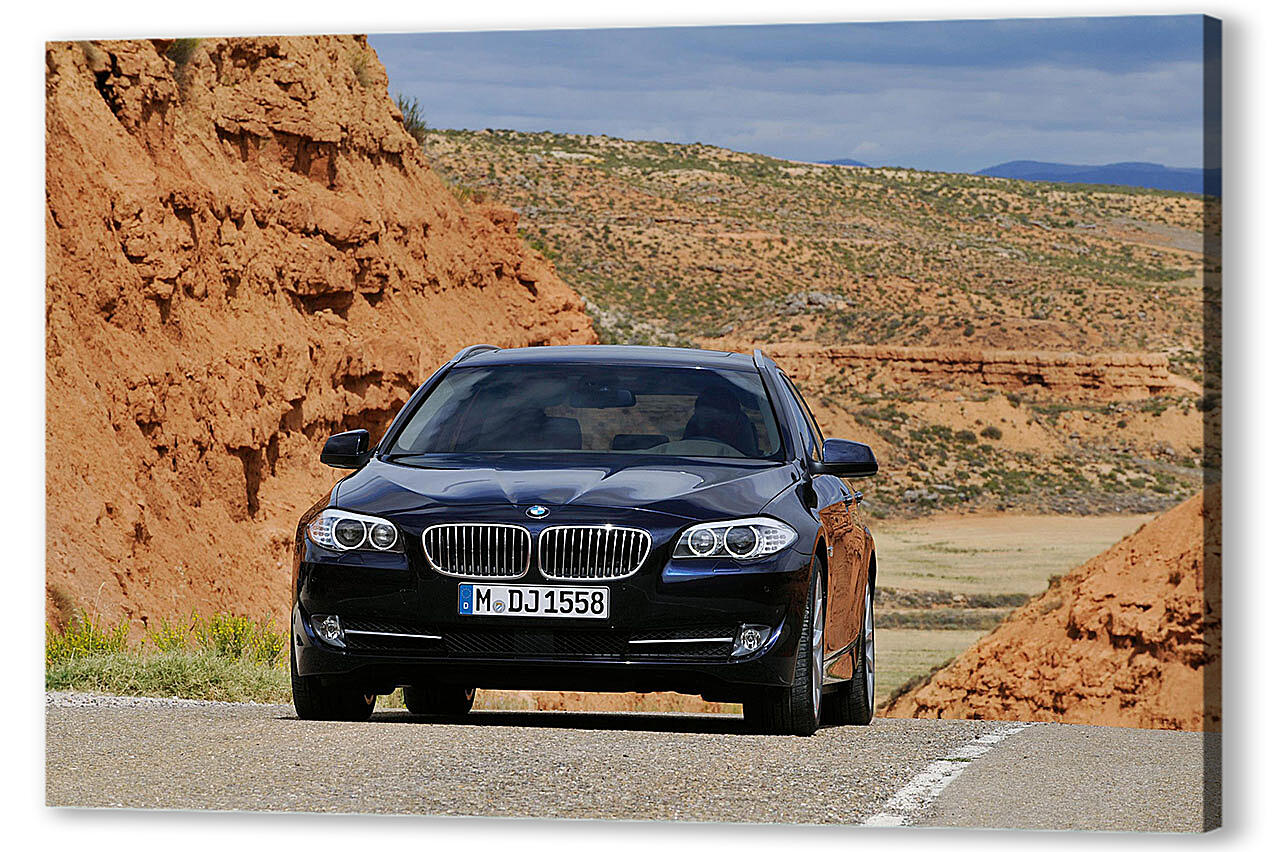 Картина маслом - БМВ (BMW)-59