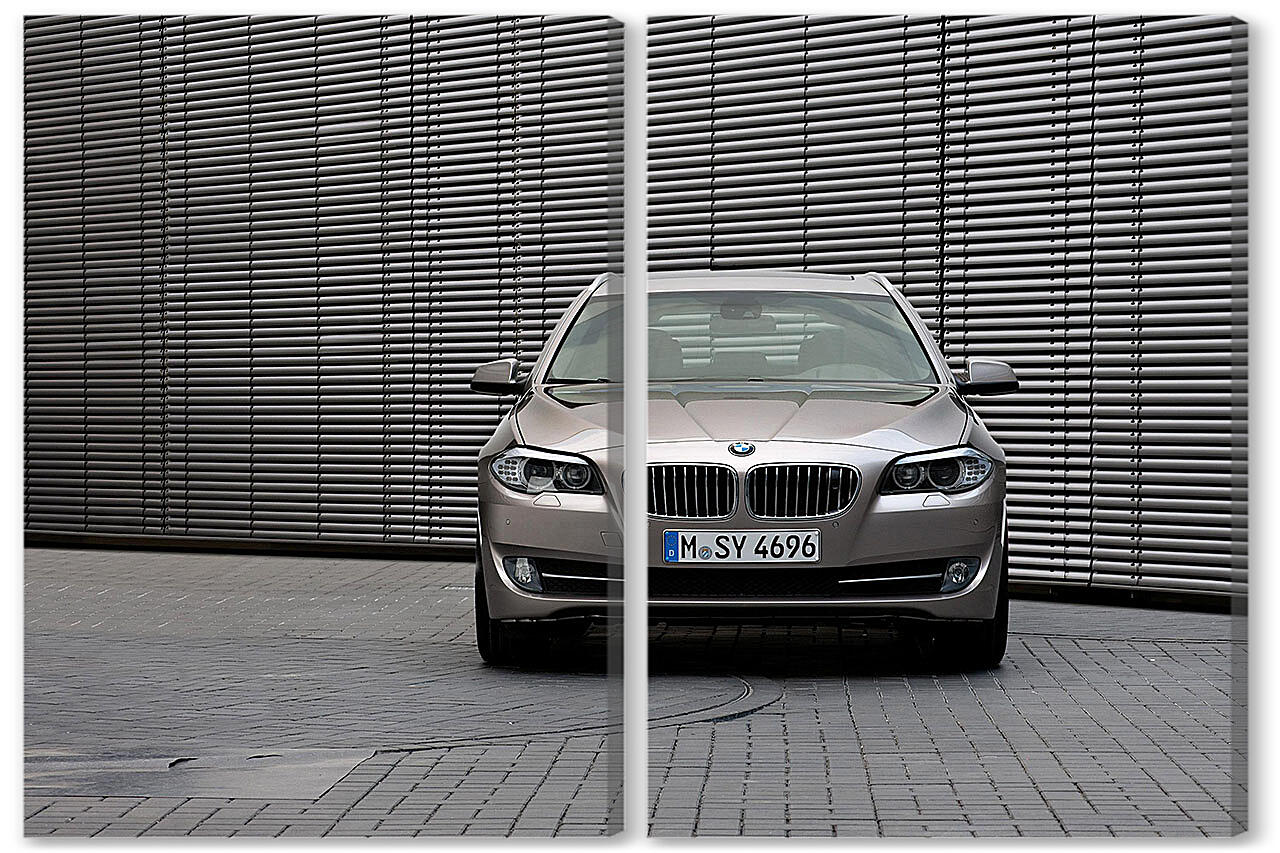 Модульная картина - БМВ (BMW)-64