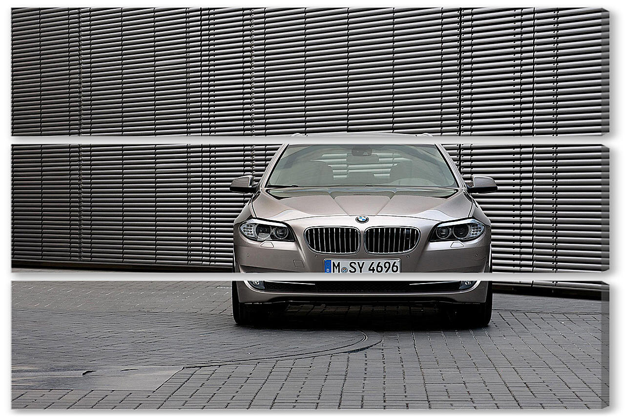 Модульная картина - БМВ (BMW)-64