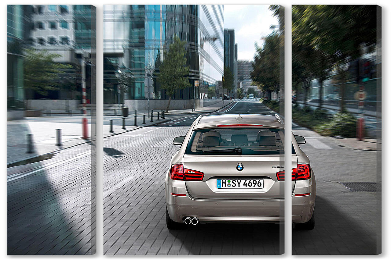 Модульная картина - БМВ (BMW)-72