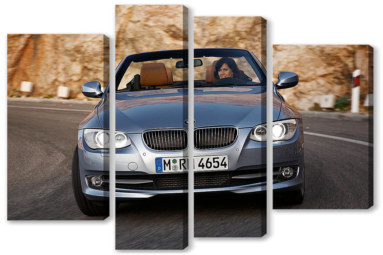 Модульная картина - БМВ (BMW)-95