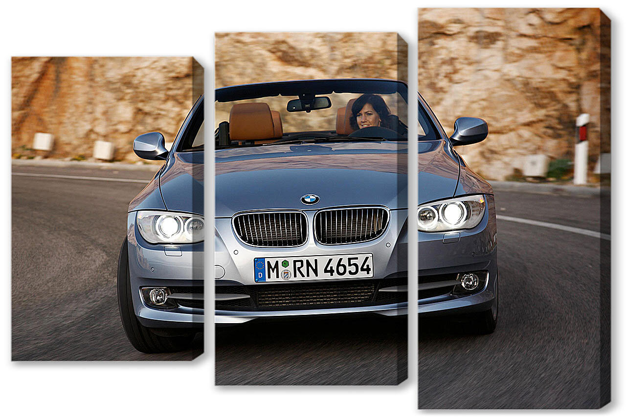 Модульная картина - БМВ (BMW)-95