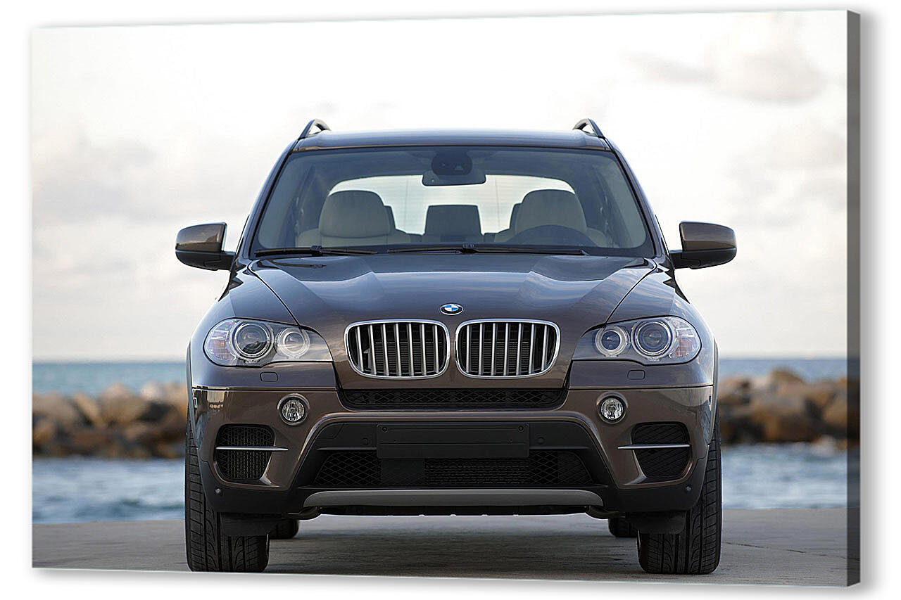 Картина маслом - БМВ (BMW)-104