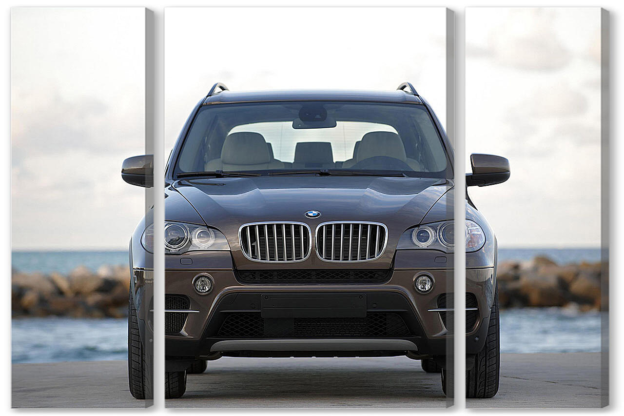 Модульная картина - БМВ (BMW)-104