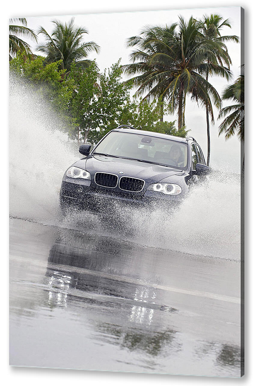 Картина маслом - БМВ (BMW)-143