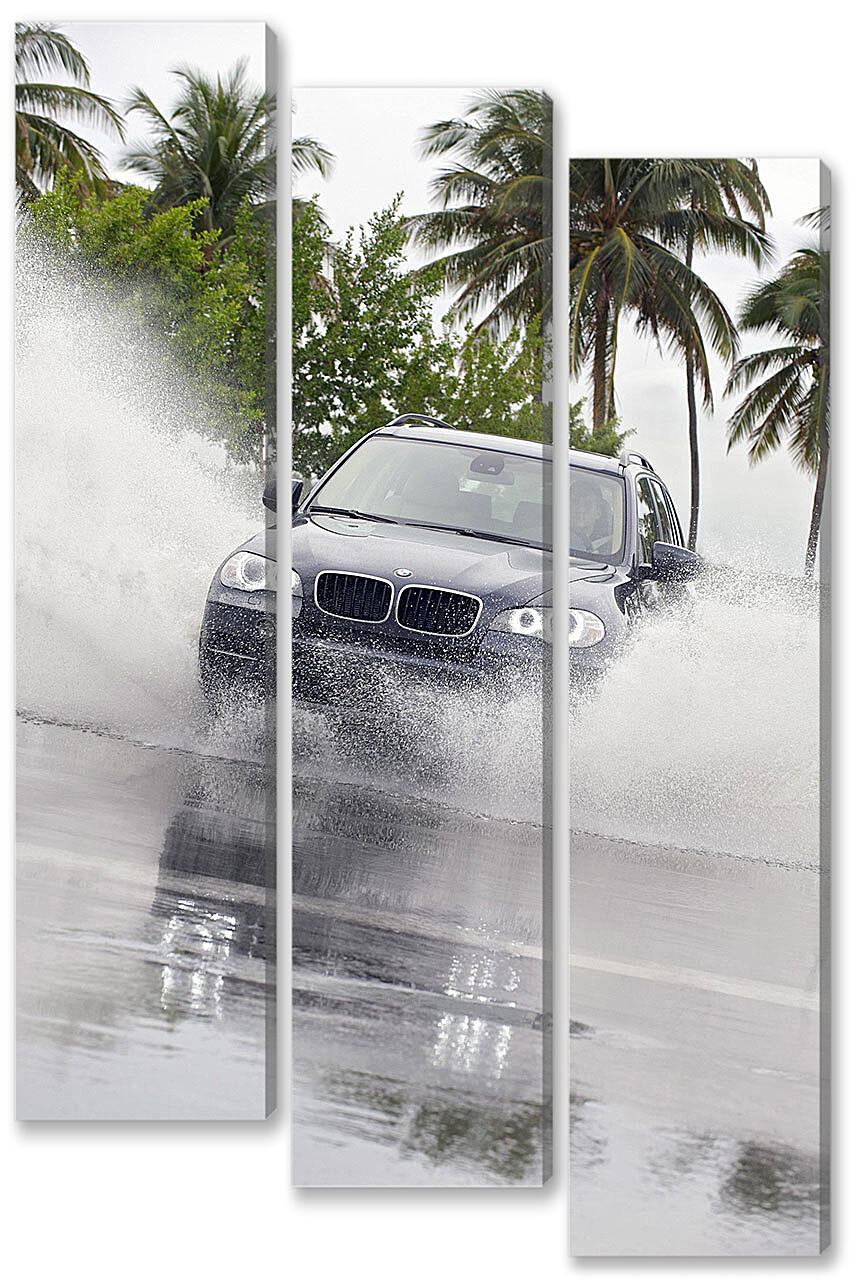 Модульная картина - БМВ (BMW)-143