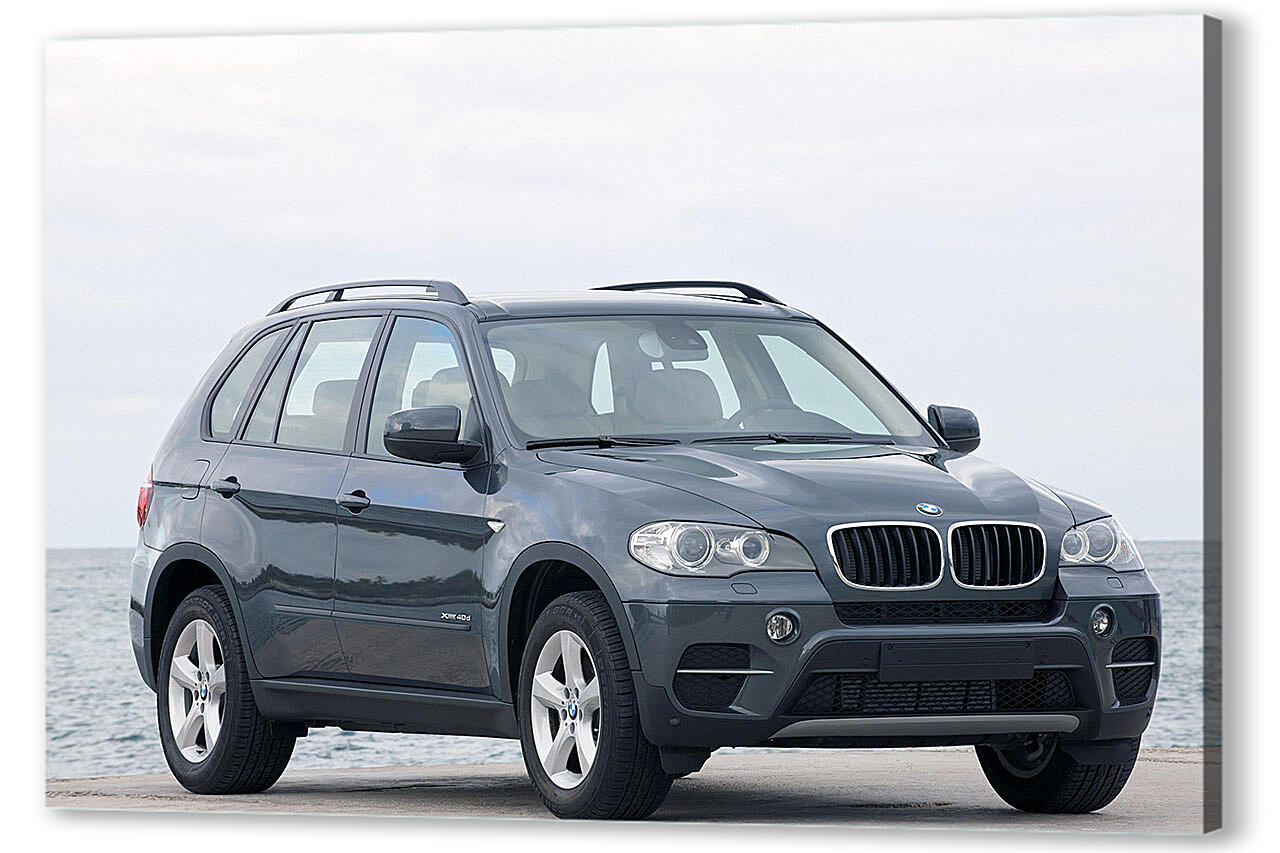 Х 5 100 70. BMW x5 2011. BMW x5m 2011. BMW x5 2010. BMW x5 40d.