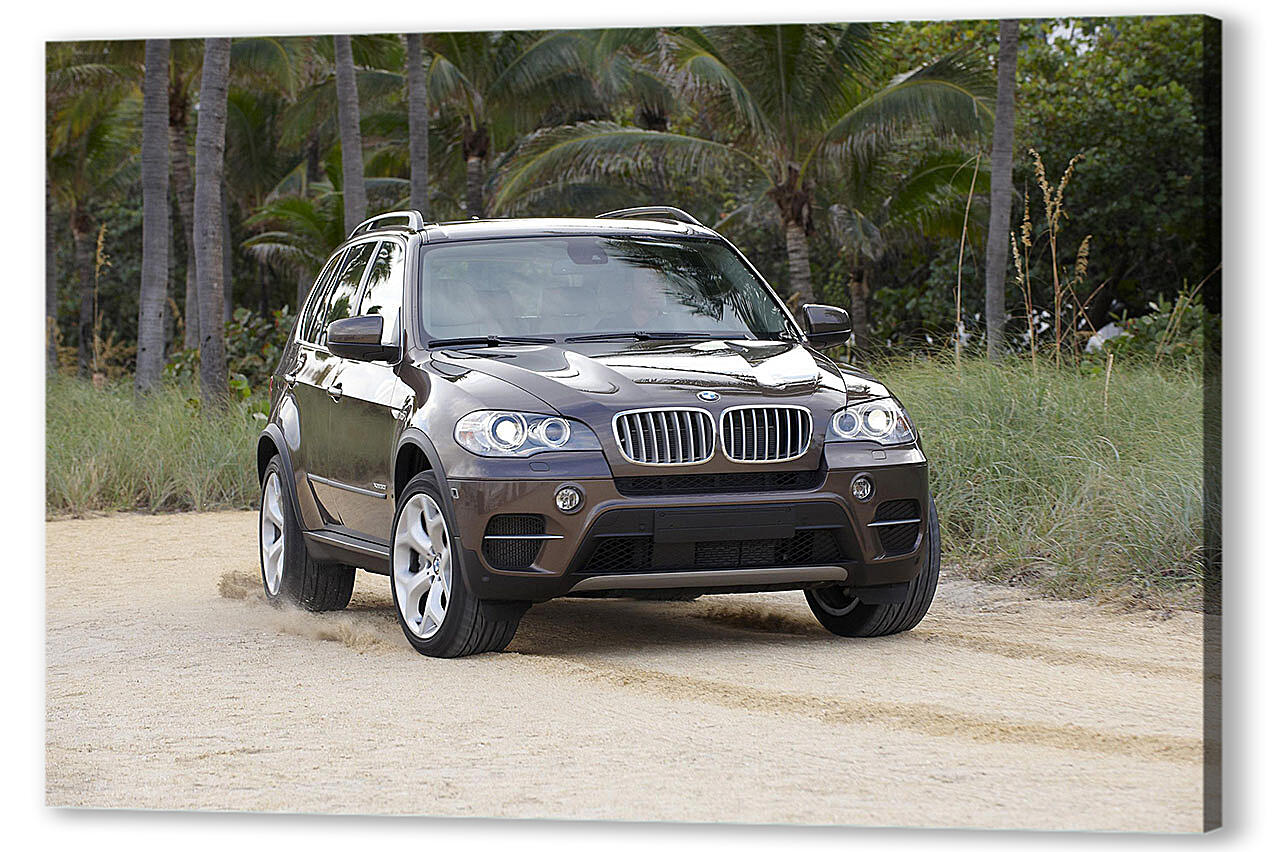 X5paket. BMW x5 2011. BMW x5 2010. BMW x5 xdrive50i 2010. БМВ х5 2011 года.