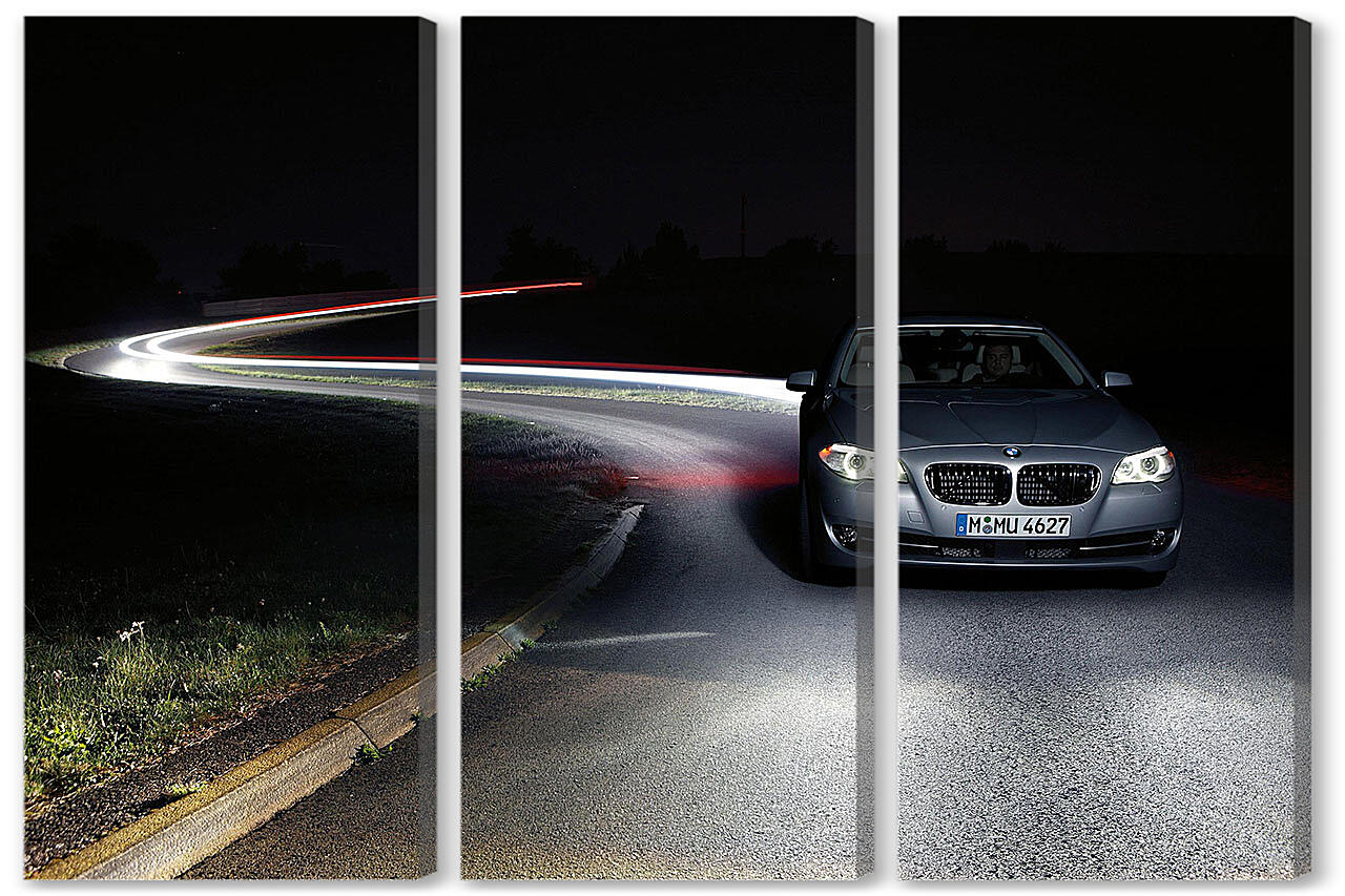 Модульная картина - БМВ (BMW)-206