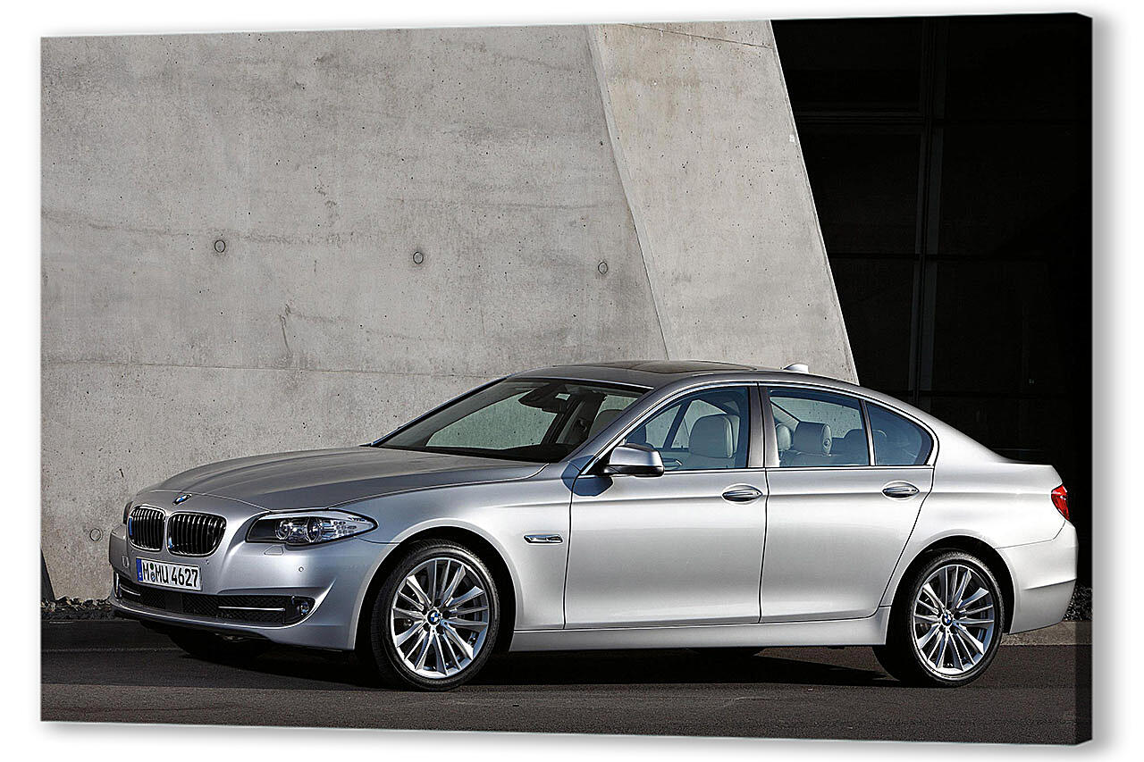 Картина маслом - БМВ (BMW)-219