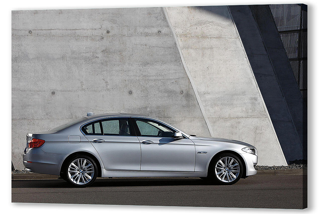 Картина маслом - БМВ (BMW)-221