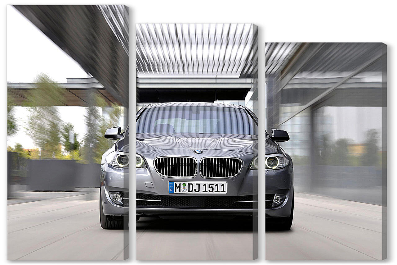 Модульная картина - БМВ (BMW)-229