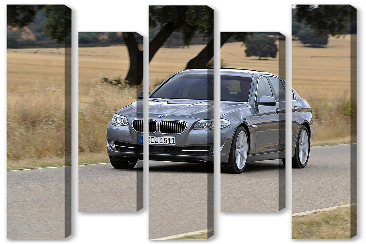 Модульная картина - БМВ (BMW)-241