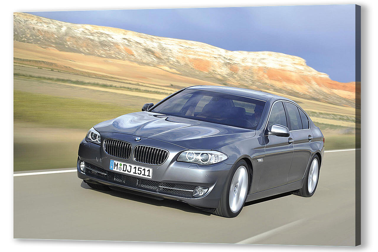Картина маслом - БМВ (BMW)-244