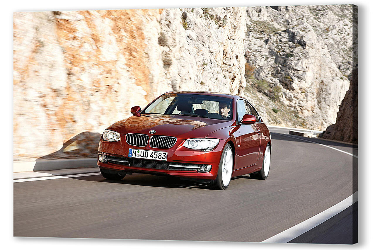 Картина маслом - БМВ (BMW)-261