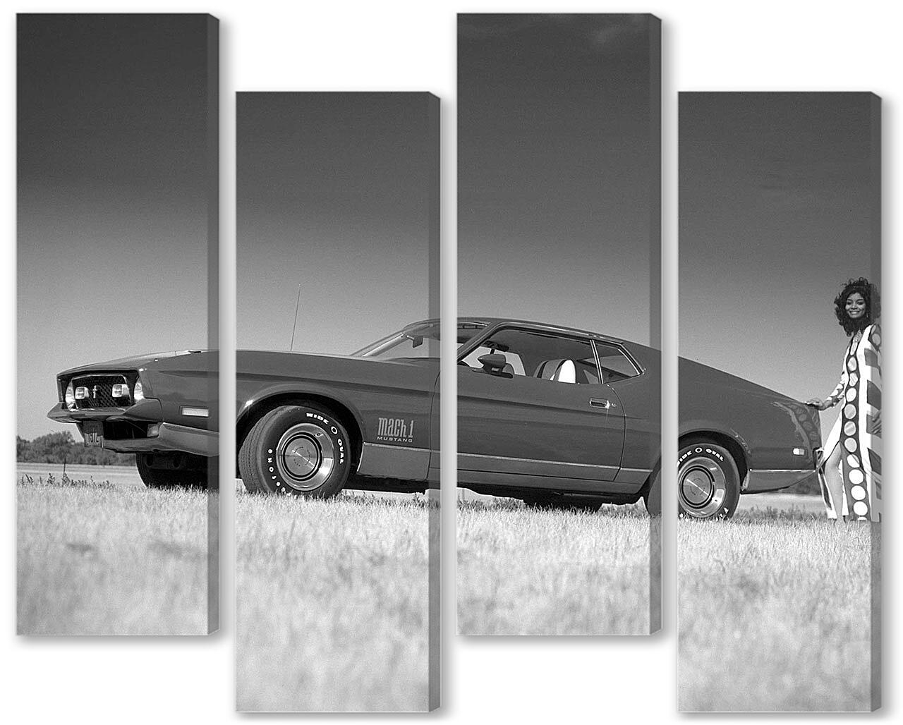 Модульная картина - Mustang-14