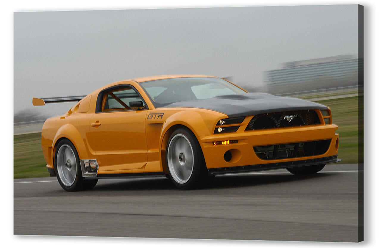 Mustang-17