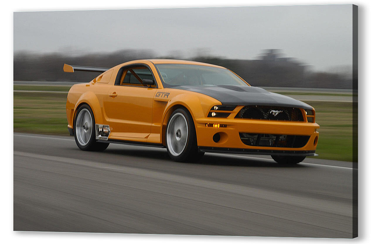 Mustang-19