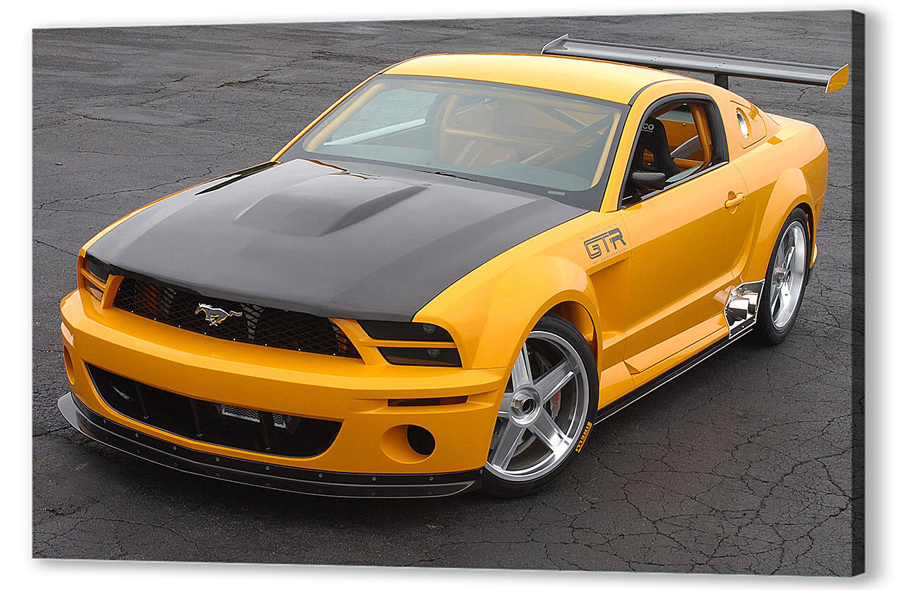 Mustang-20