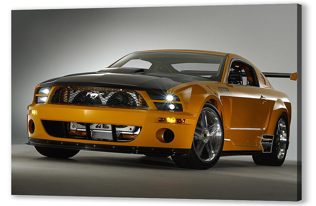 Картина маслом - Mustang-26
