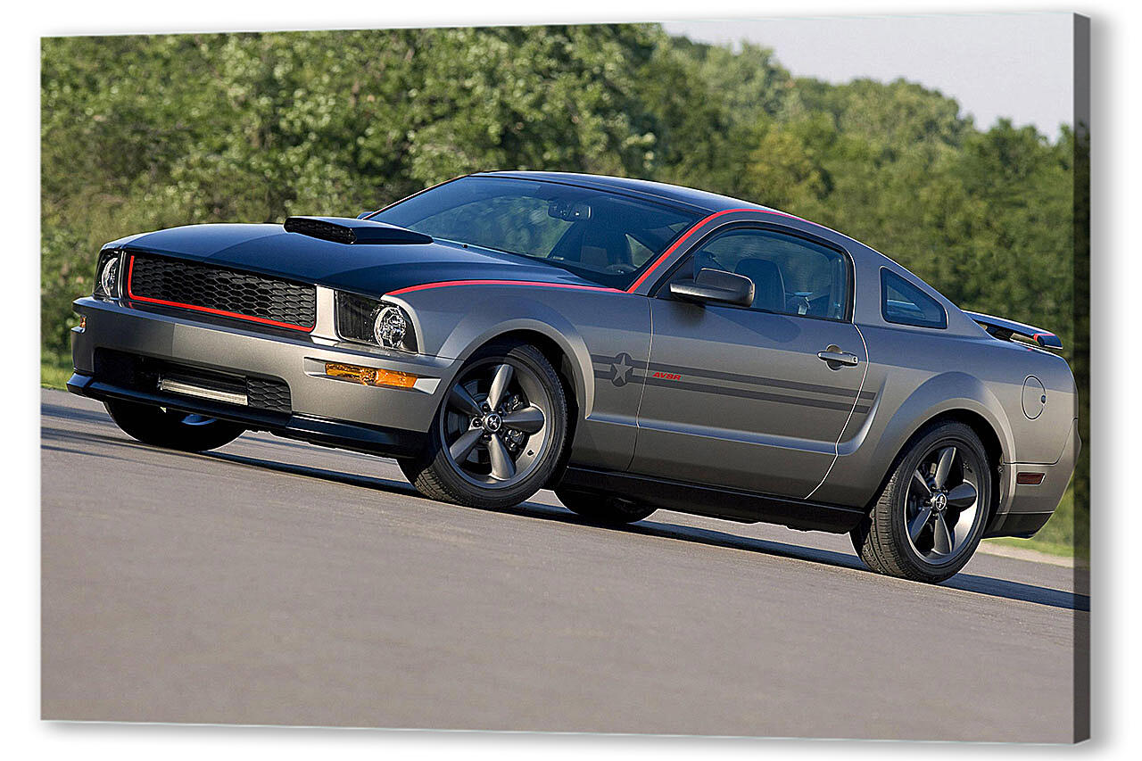 Картина маслом - Mustang-45