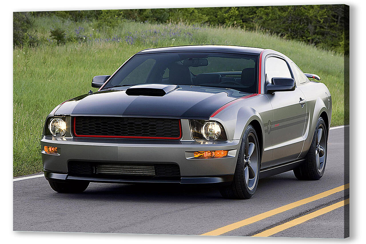 Mustang-46