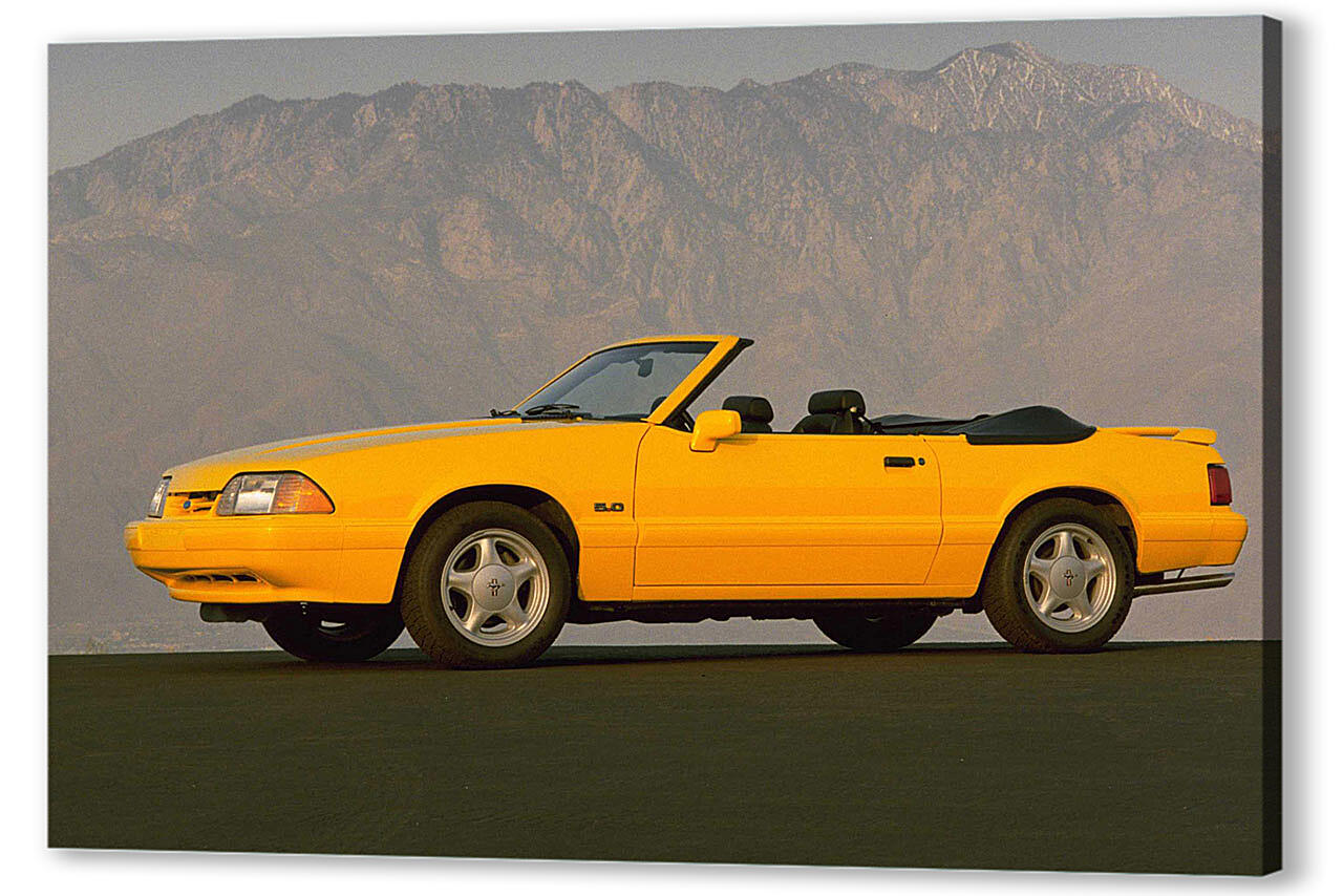 Картина маслом - Mustang-48