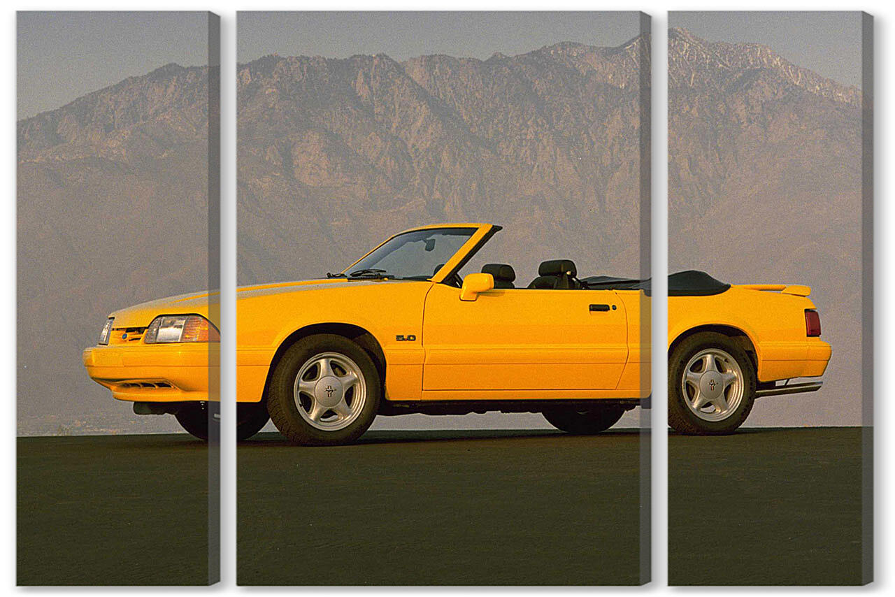 Модульная картина - Mustang-48