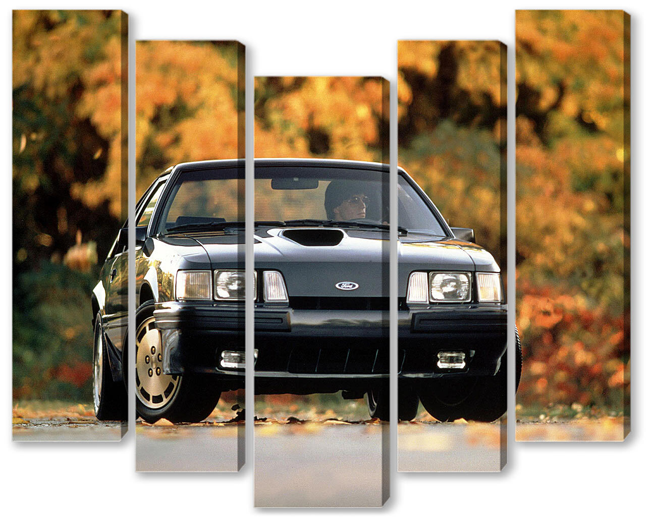 Модульная картина - Mustang-55