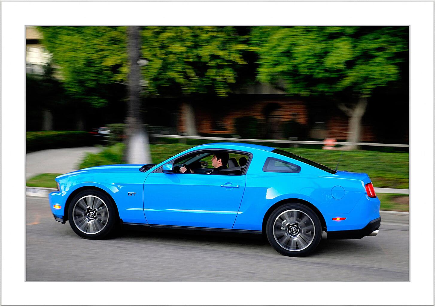 Картина - Mustang-100
