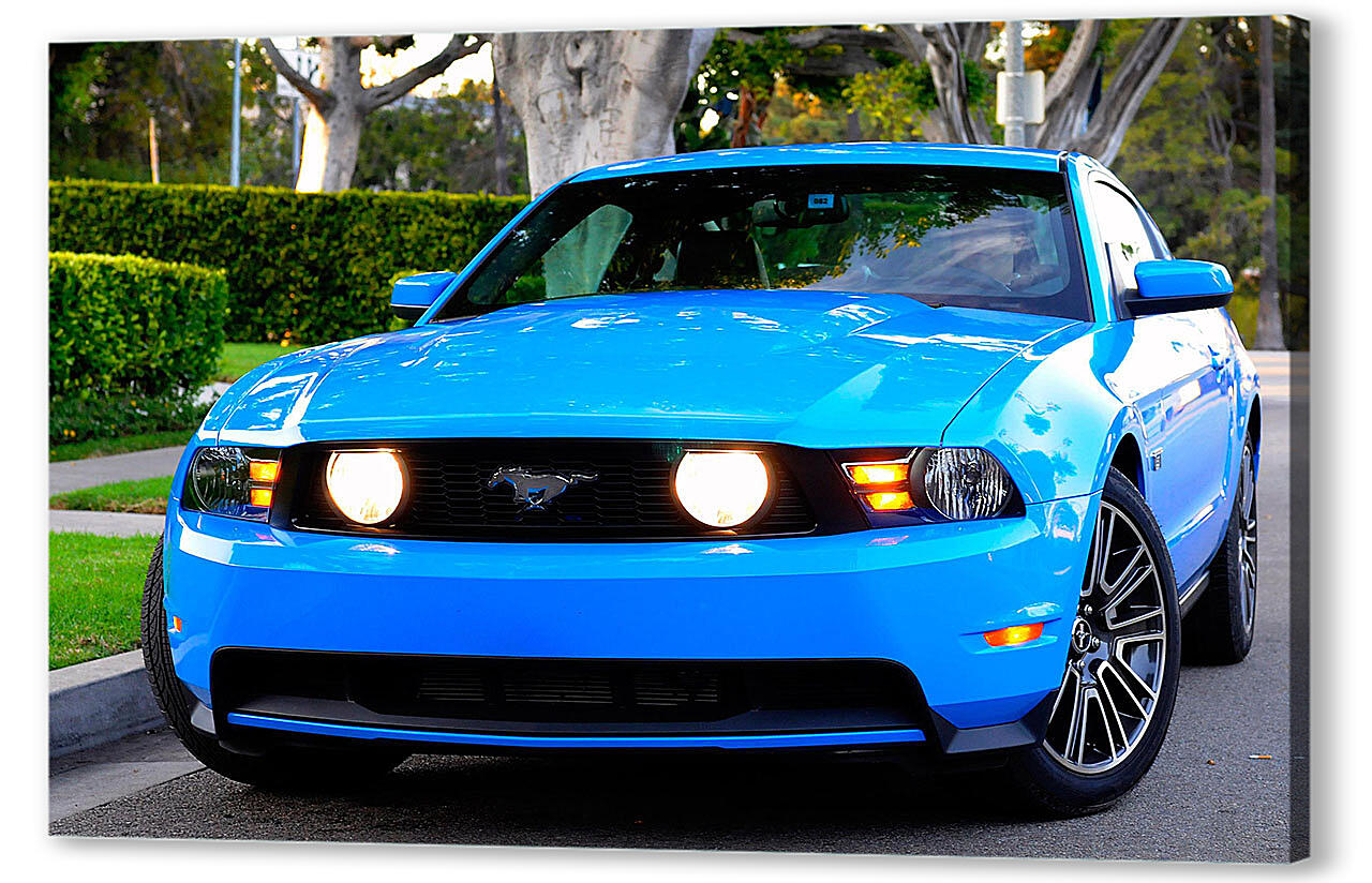 Картина маслом - Mustang-104
