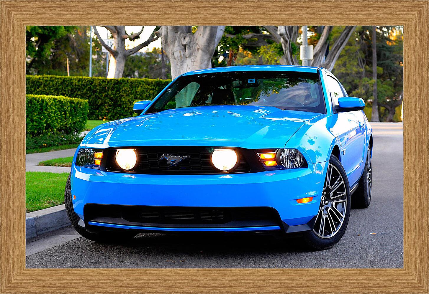 Картина - Mustang-104
