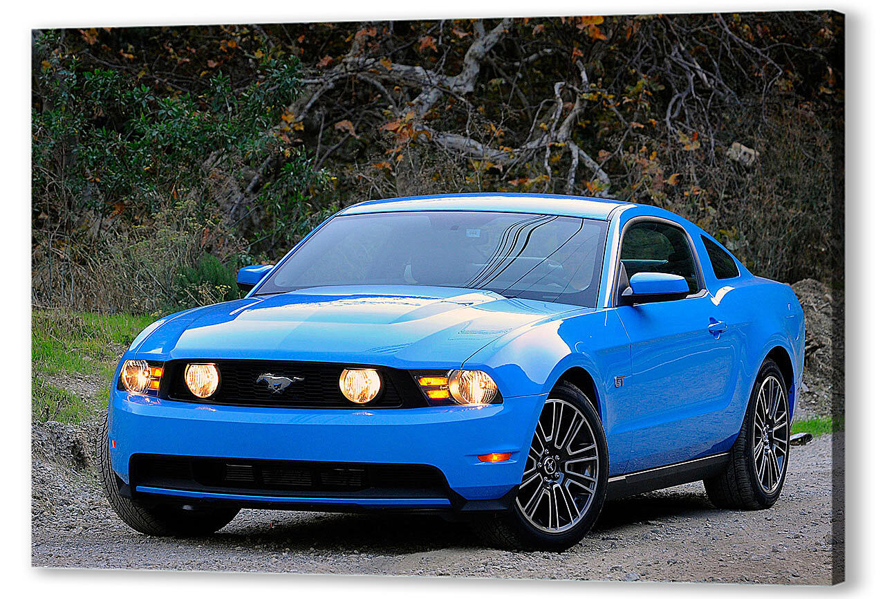 Картина маслом - Mustang-106