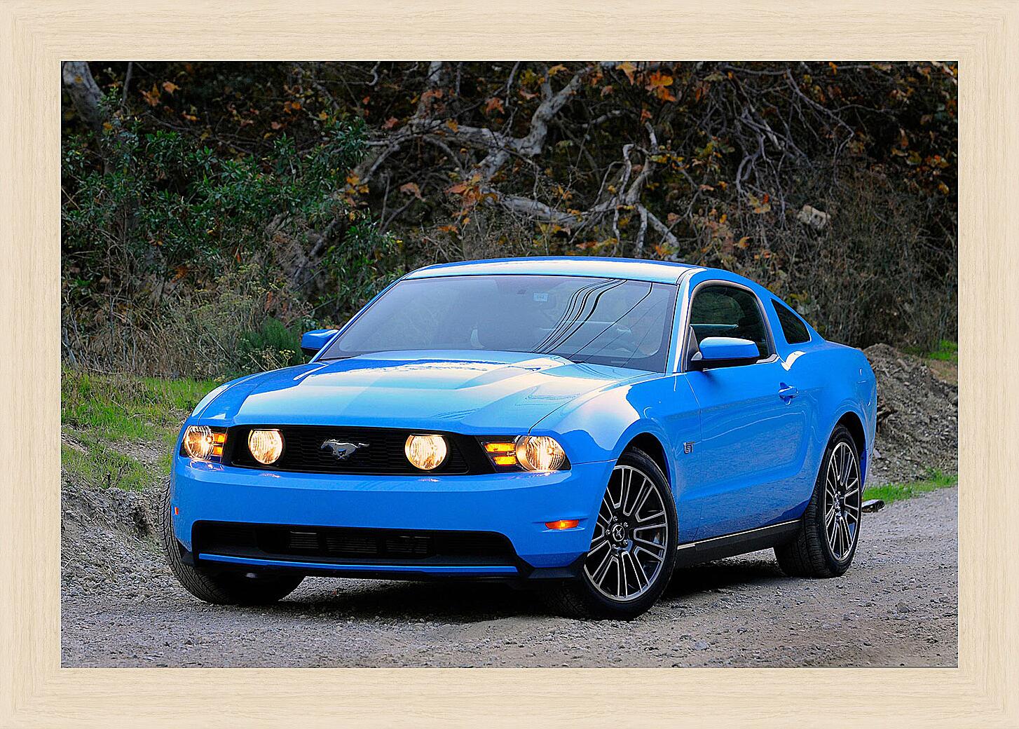Картина - Mustang-106