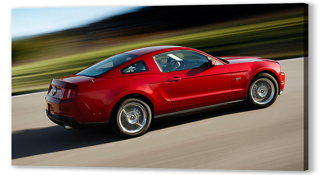 Mustang-123