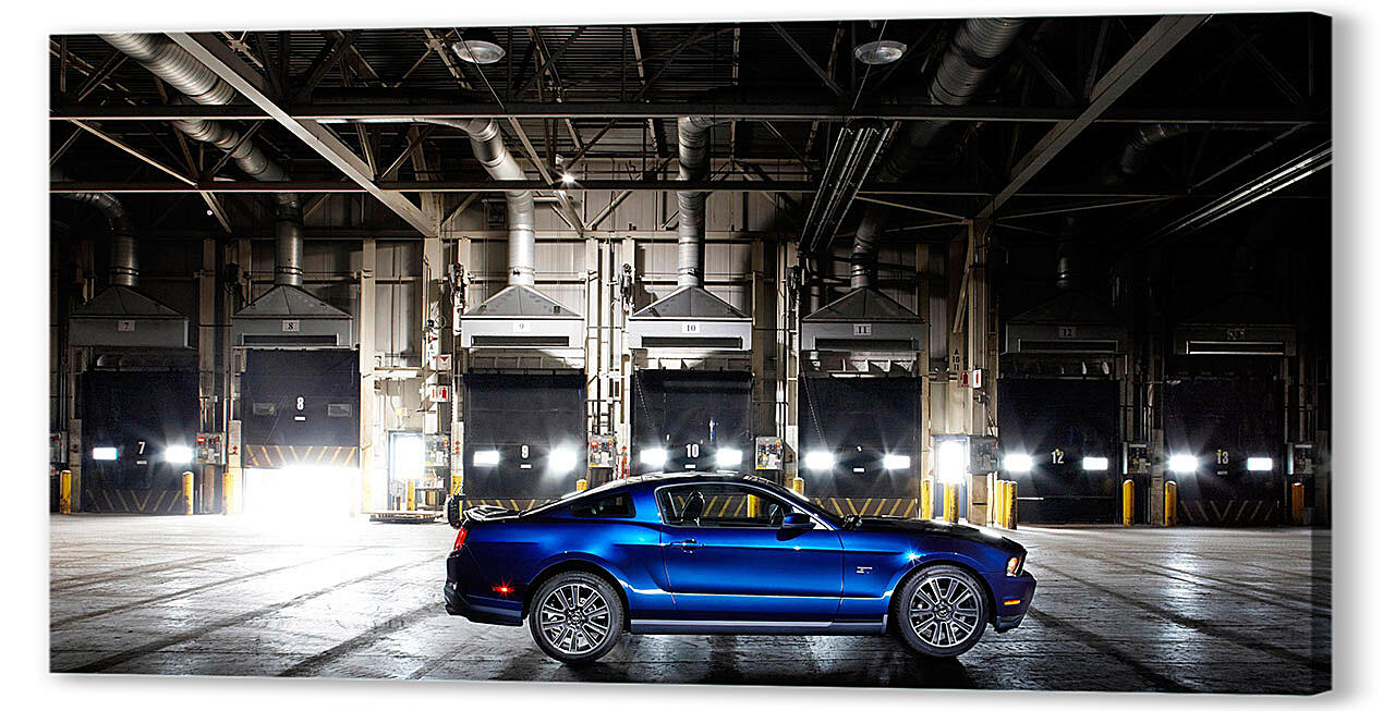 Картина маслом - Mustang-132
