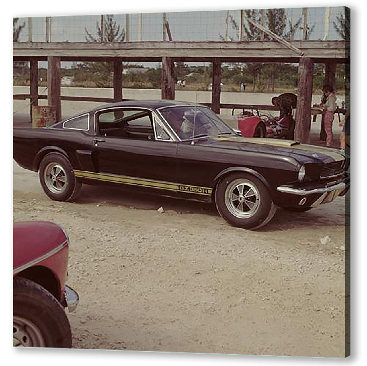 Mustang-166