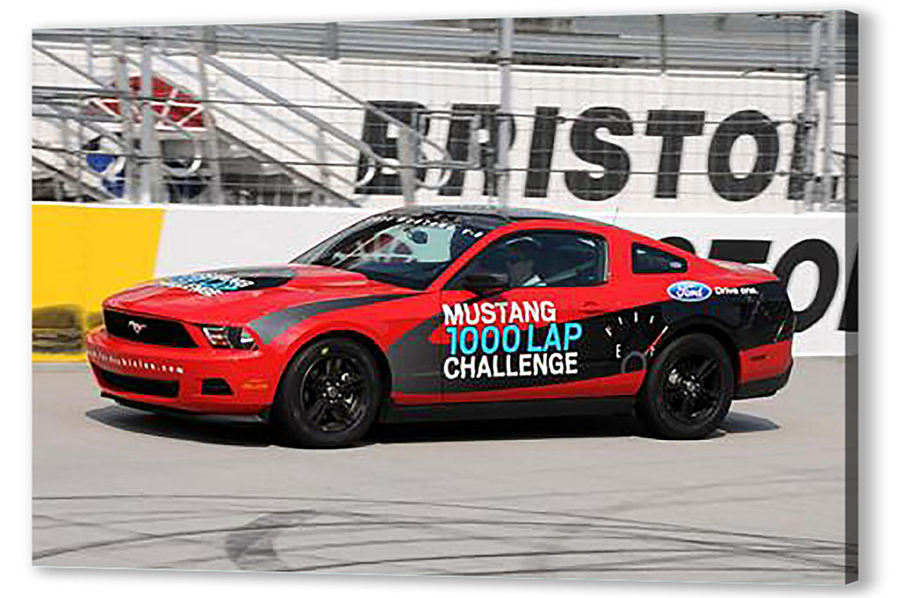 Mustang-172