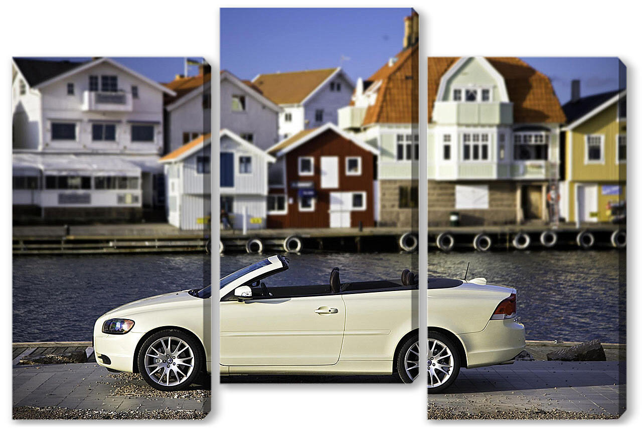 Модульная картина - Volvo-389