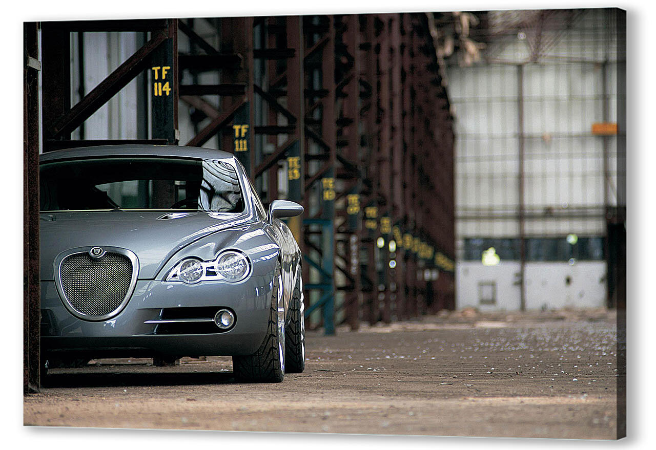 Картина маслом - Jaguar-36