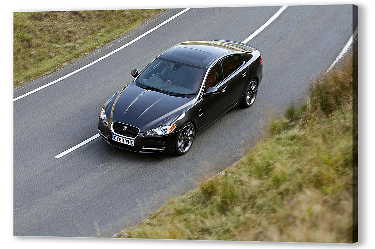 Картина маслом - Jaguar-100