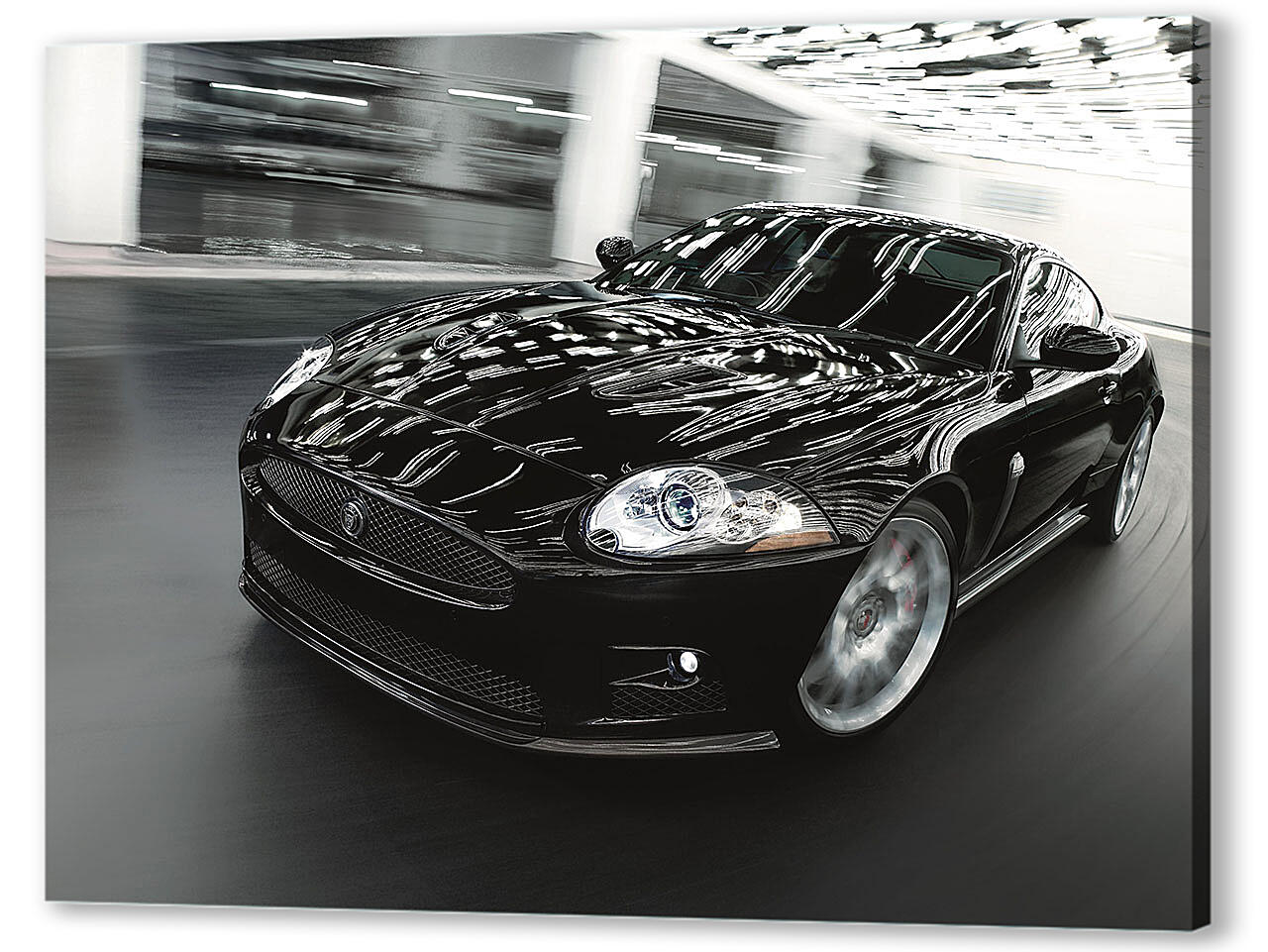Картина маслом - Jaguar-175