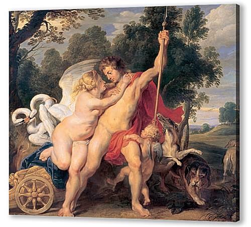Постер (плакат) - Venus and Adonis	
